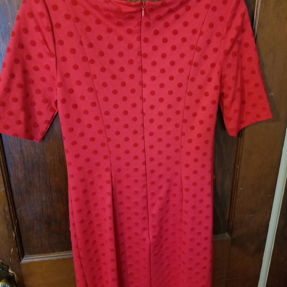 Beautiful red Lauren Conrad dress - Picture 4 of 4